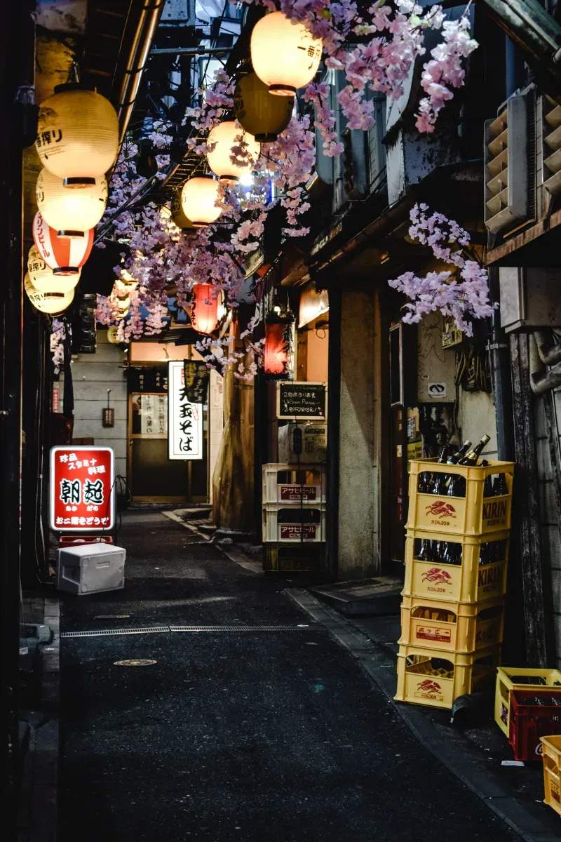 和酒場 みなと灯